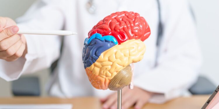 Ma Ogtahay: Wax ka baro maskaxda,lafaha iyo wadnaha