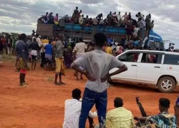 Security Concerns Rise as Weapons Fall into Civilian Hands in Somalia